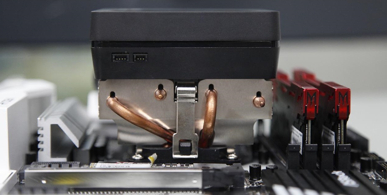 충격으로 인한 무뽑기 현상