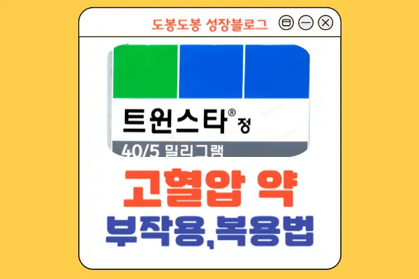트윈스타정 안내 이미지