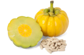 가르시니아 추천