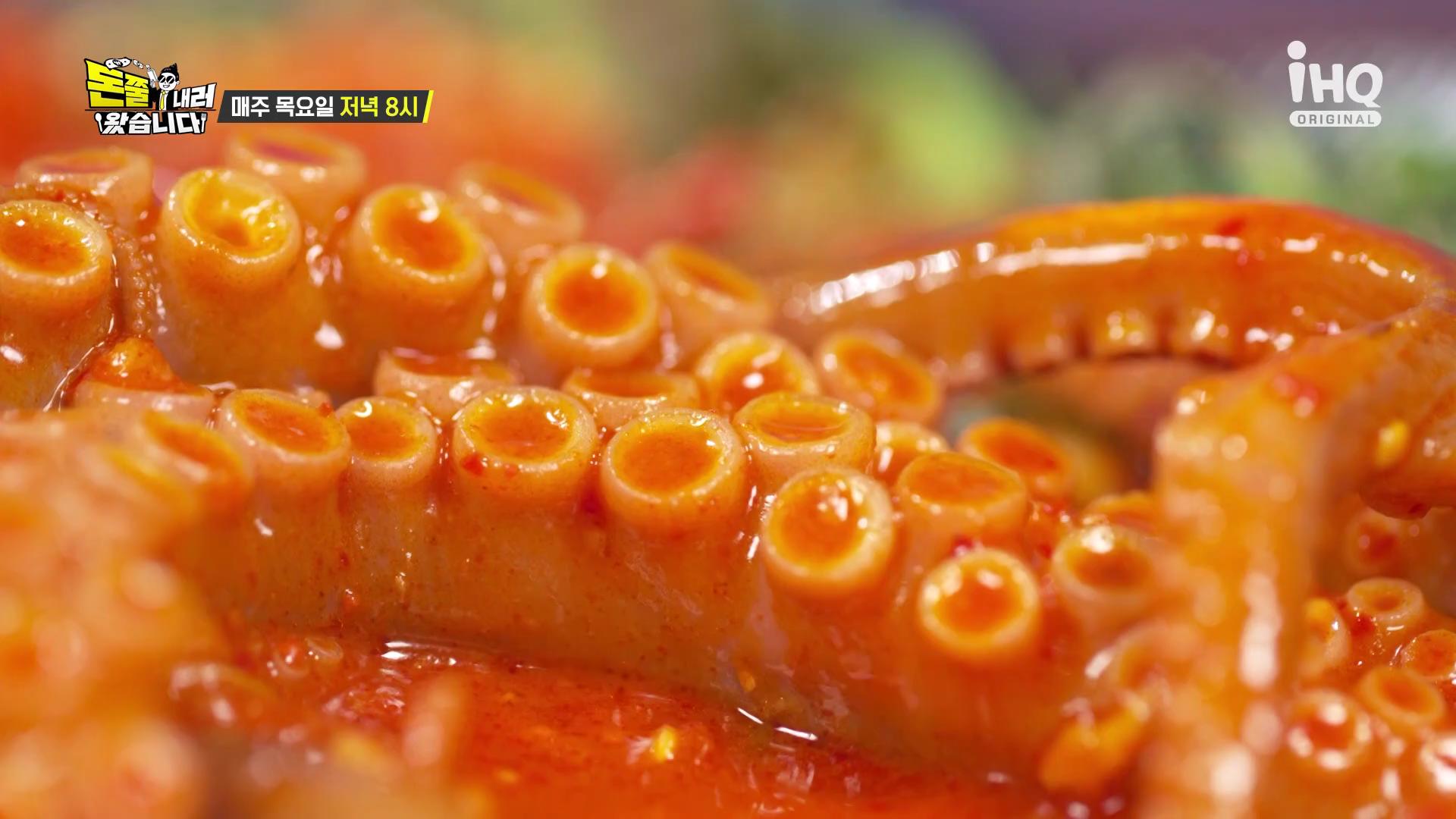 돈쭐내러왔습니다 오늘방송 목포 뻘낙지 낙지 볶음 맛집