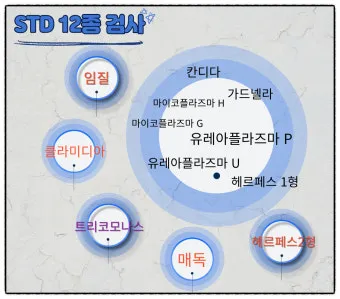 std 12종 검사 완벽 총정리종류 비용 등으로 검사항목_6