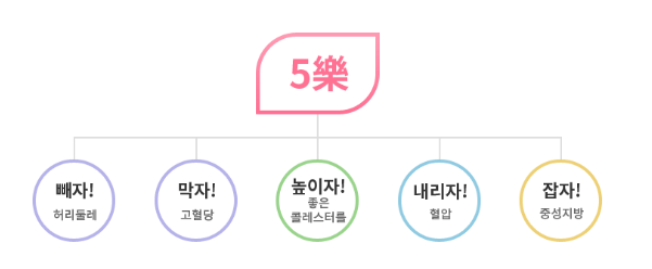 대사증후군 완벽 가이드: 원인부터 치료까지 한눈에