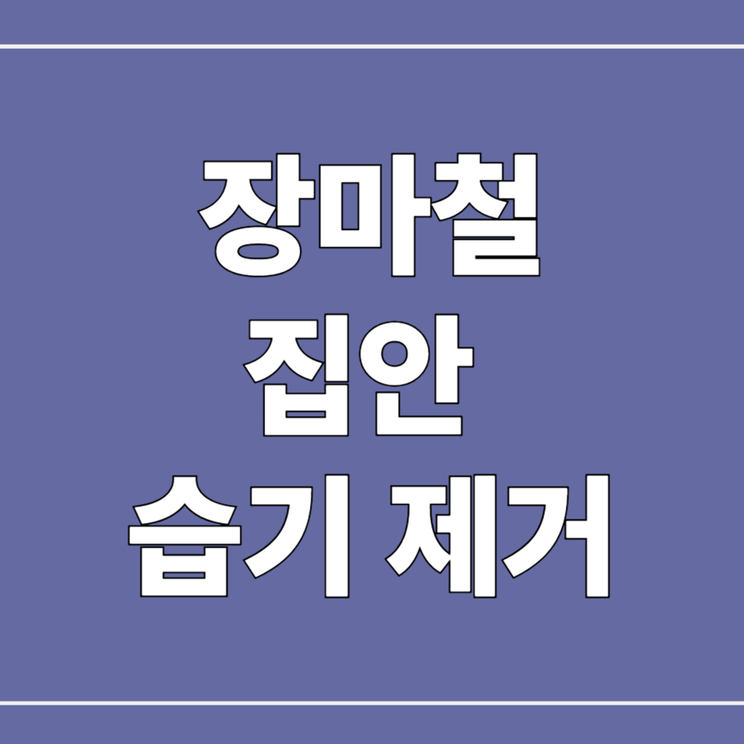 장마철 습기 제거 꿀팁