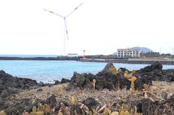 제주도여행코스추천, 제주도갈만한곳 - 한림 용암동굴지대(소천굴, 황금굴, 협재굴, 쌍용굴), 월령리 선인장 군락, 명월대, 비양도 호니토, 금능 해수욕장,한림공원,이시돌목장