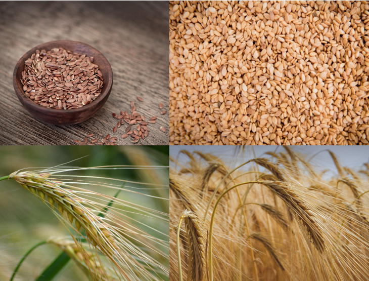 남성 갱년기에 좋은 음식