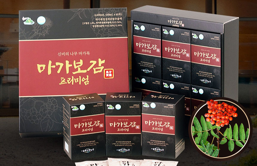 마가보감 프리미엄