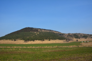 제주도 용눈이오름