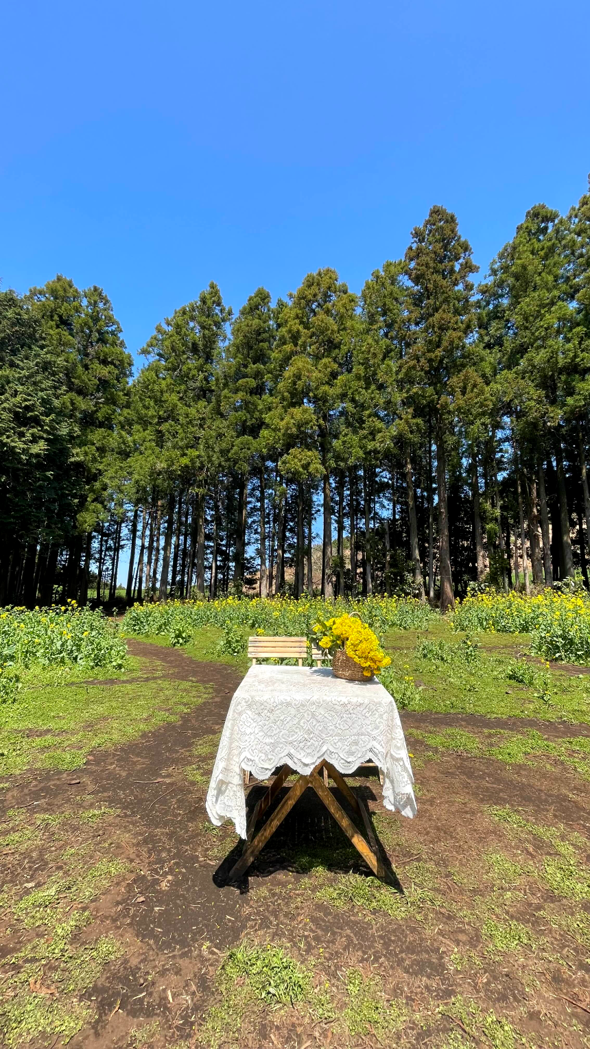 비밀의 숲 포토존