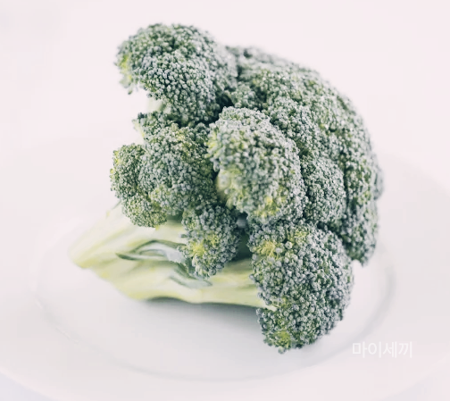 브로콜리 고르는 방법 색상