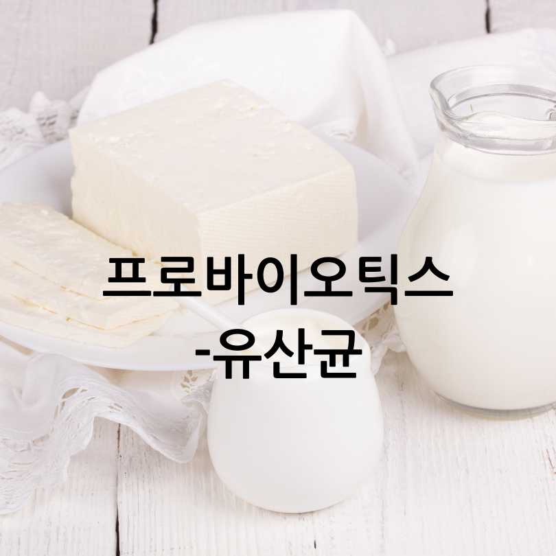 노인 영양제 추천