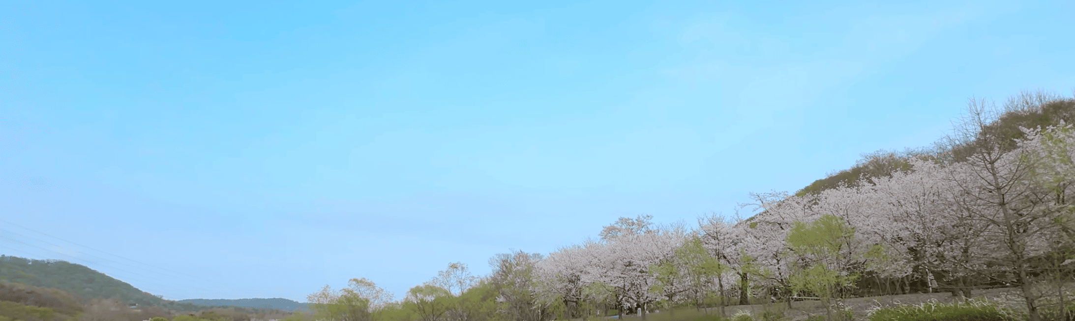 인천대공원가는길