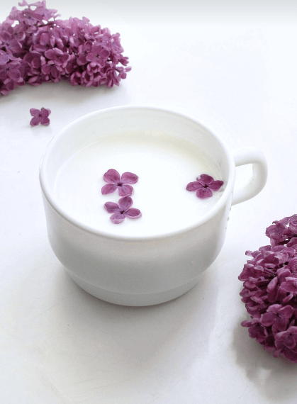 우유 사진 - 1257