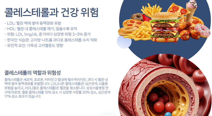 콜레스테롤과 건강 위험