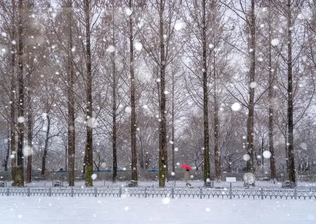 겨울 여행지 추천 서울숲