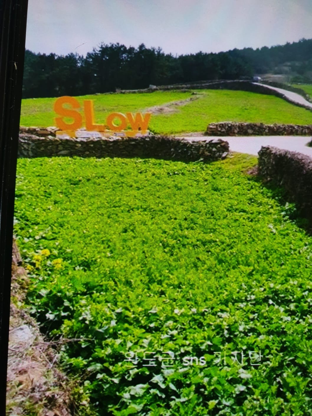 치유가 필요해 청산도를 걸어봐 기본일정과 프로그램 소개