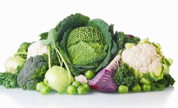 당뇨인 혈당 음식 당뇨식단 혈당스파이크 당뇨주의음식 혈당관리 제로음료 단백질쉐이크 카레주의 양배추효과 당뇨팁 건강관리