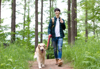 강아지 산책하는 사진