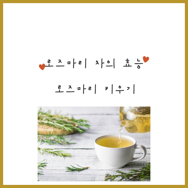 로즈마리-차-2024