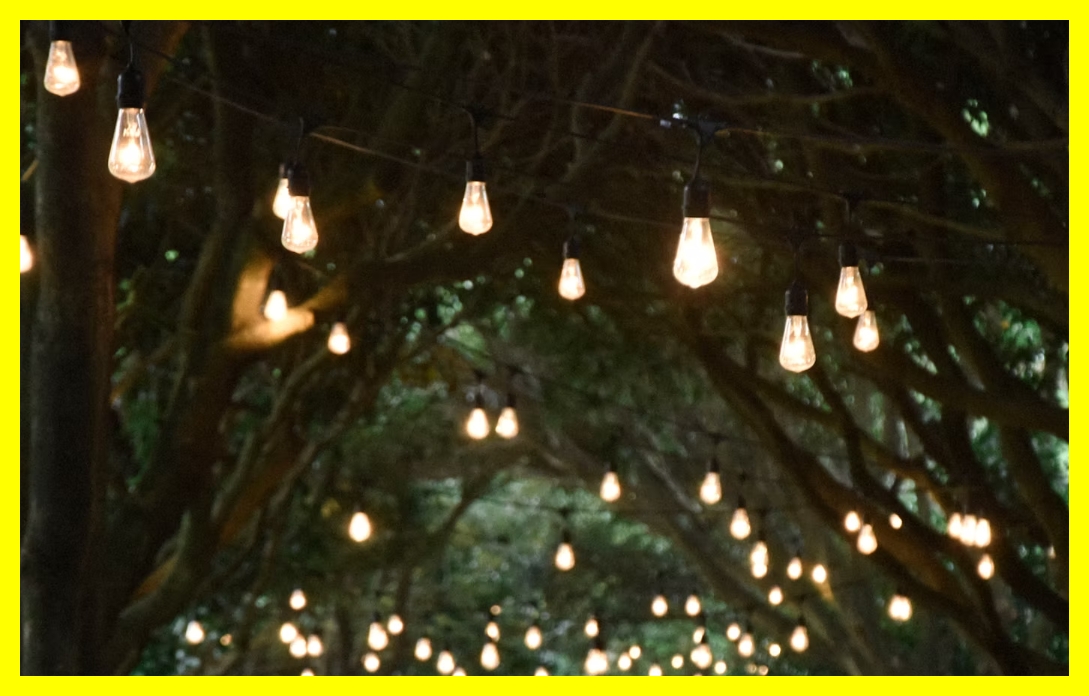 카멜리아힐 소요시간&amp;#44; 제주 식물원&amp;#44; 카멜리아힐 꽃 종류&amp;#44; 카멜리아힐 내부구조&amp;#44; 제주 2박3일 코스&amp;#44; 제주 당일치기 여행&amp;#44; 제주 필수코스&amp;#44; 제주 사진 스팟&amp;#44; 제주 자연과 함께&amp;#44; 제주 대표 명소