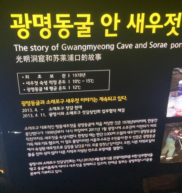 광명동굴7
