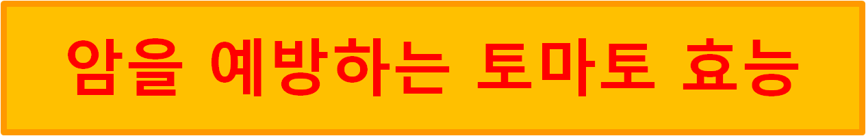 암을 예방하는 토마토 효능