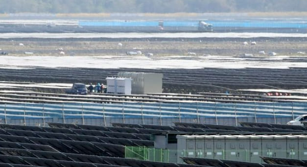 새만금 태양광 공사현장서 고농도 독성물질 검출
