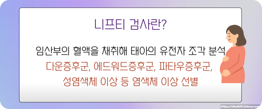 니프티 검사란?