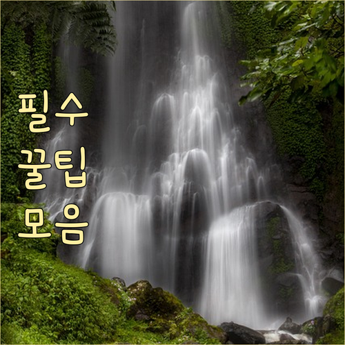 2025 괴산군 학자금 대출 이자 지..