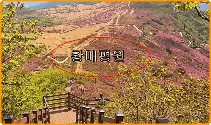황매산 최단코스