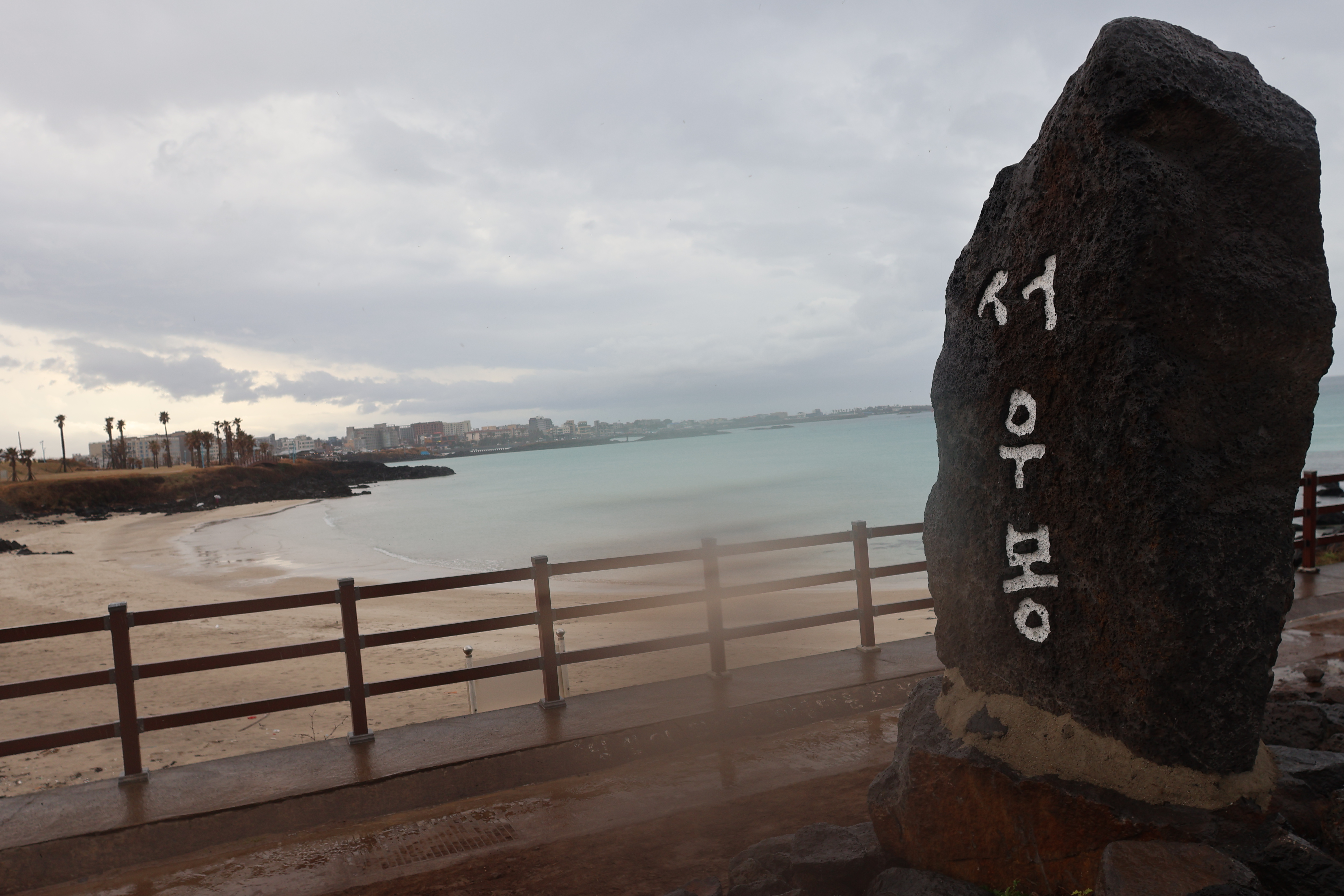 제주-유채꽃-명소