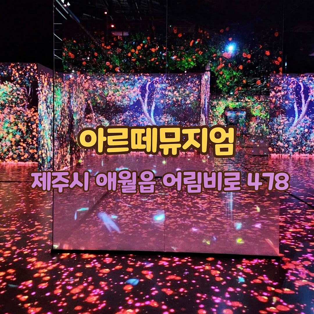 아르떼뮤지엄