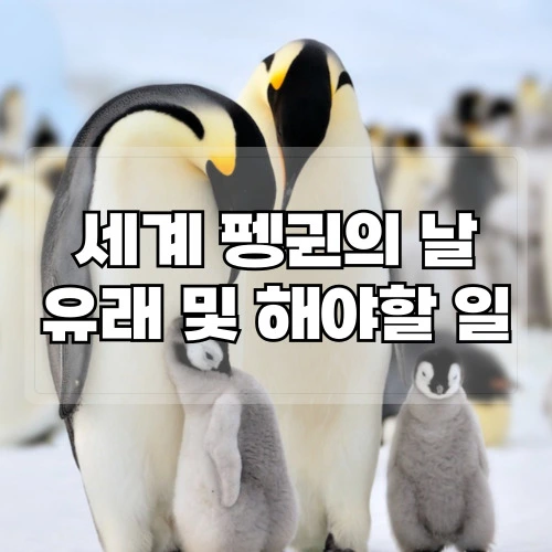 세계-펭귄의-날-유래-및-해야할-일