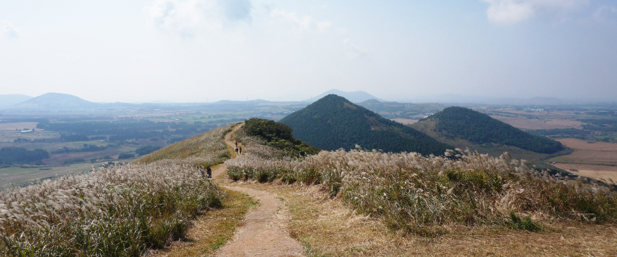 제주도 가볼만한곳 추천 베스트 10 (꼭 가봐야할 곳!)