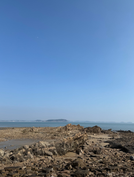 [6시 내고향] 인천 영흥도 십리포해수욕장 서어나무군락지&amp;#44; 노가리해변&amp;#44; 전망대&amp;#44; 제트보트&amp;#44; 산악사륜오토바이&amp;#44; 실외낚시터&amp;#44; 횟집 정보