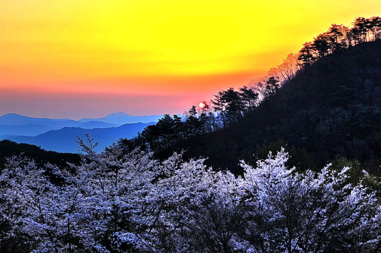 금원산자연휴양림