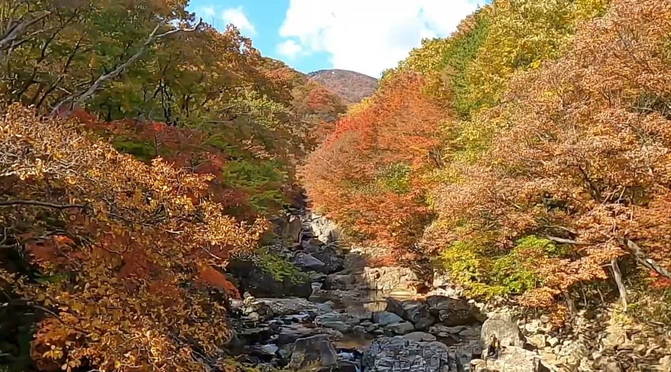 피아골계곡