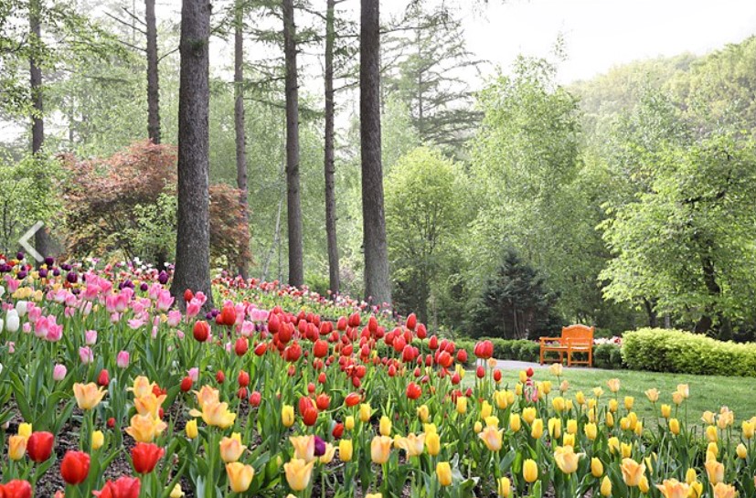 여행과 데이트하기 좋은 곳