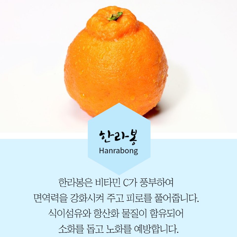 9월제철과일