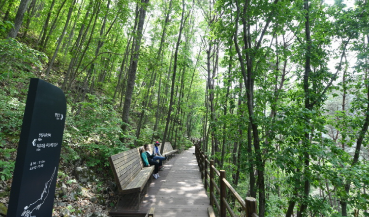 거창 항노화힐링랜드