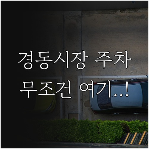 제기동역 경동시장 방문 시 주차장 선..