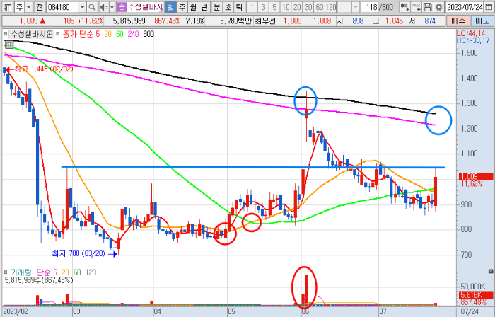 7월 24일 수성샐바시온 일봉 차트 분석