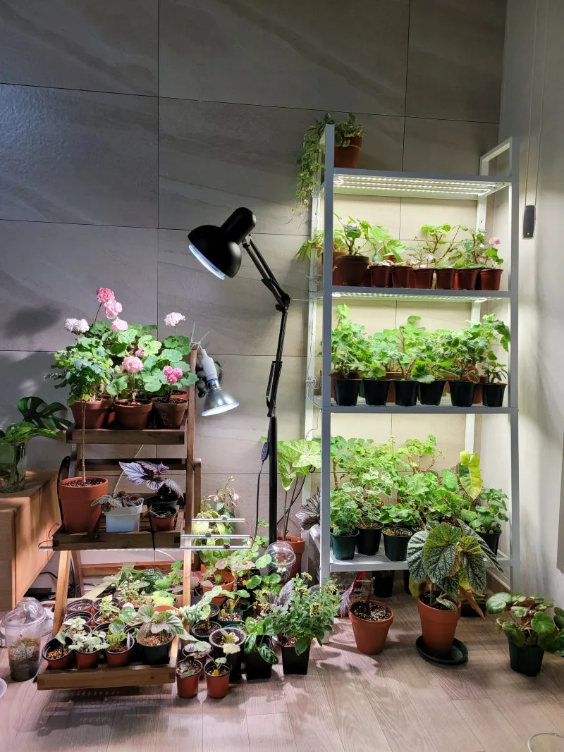 타이머 세팅 자동점등 소등루틴 식물등사용 습관 만들기 편리한 관리_2