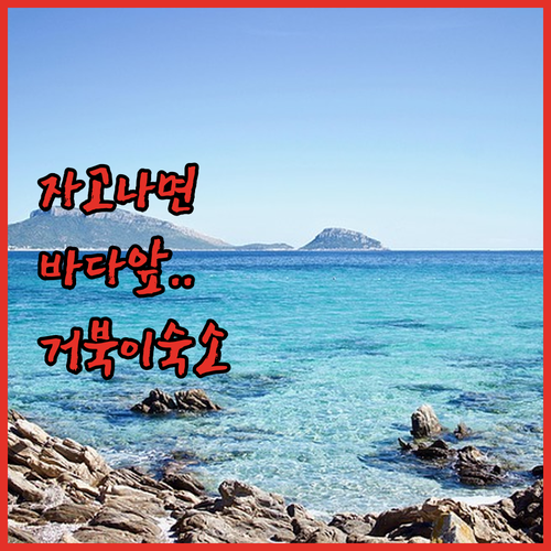 자고 나면 바로 바다 앞이라니 롬복에..