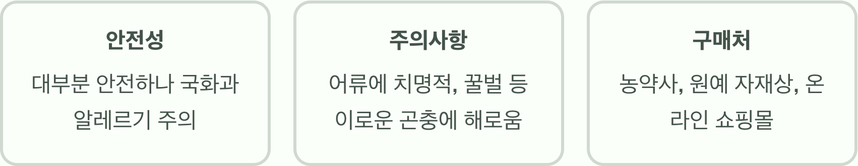 천연 살충제의 왕, 제충국 효능의 모든 것