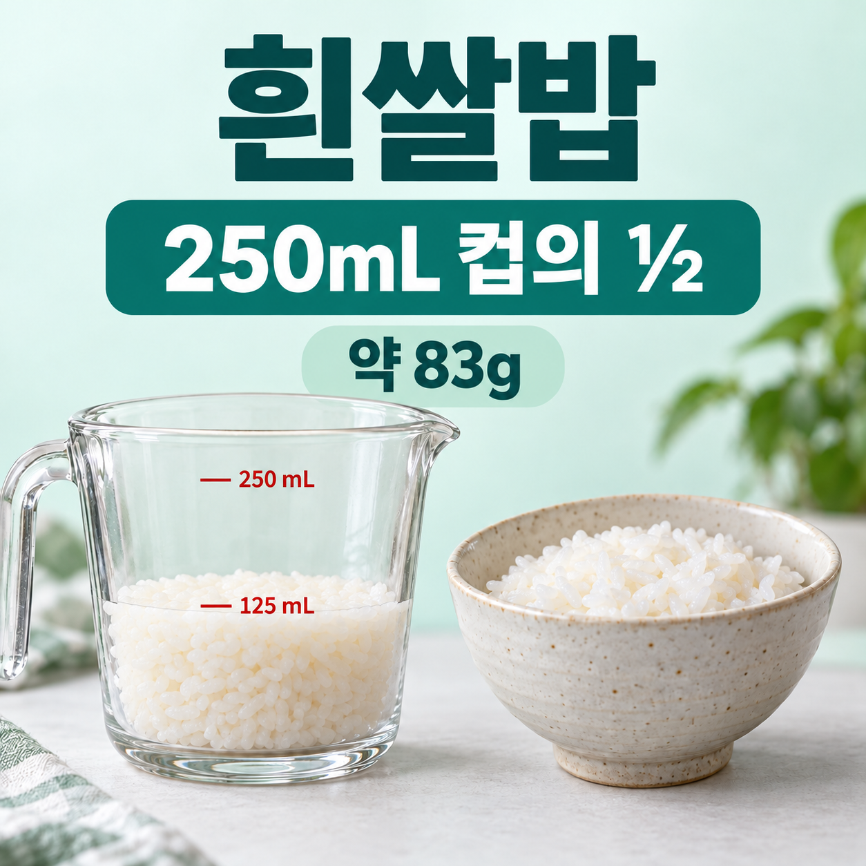 흰쌀밥 실사 분량 비교. 250mL 컵의 ½와 약 83g. 원문 125mL=83g. 250mL 계량컵의 절반. 국내 단립종·진밥은 수분량과 밀도가 달라질 수 있음.