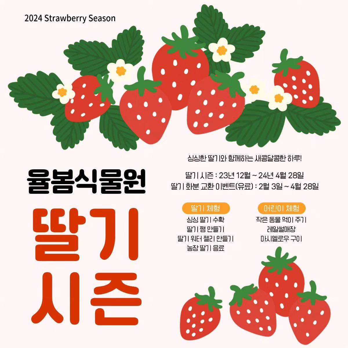 율붐식물원 딸기시즌 기본정보와 프로그램 소개