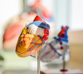 심근경색 전조증상 원인 예방법