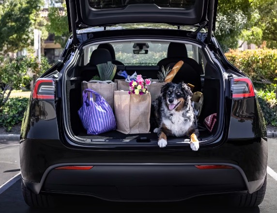 테슬라 모델Y 가격