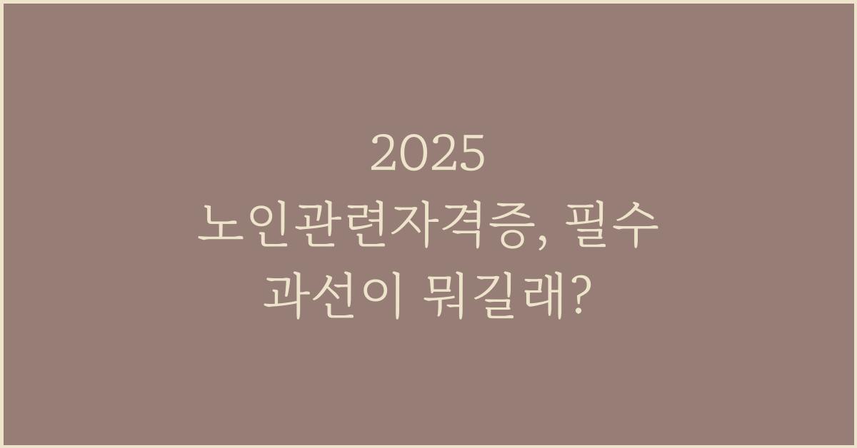 2025 노인관련자격증