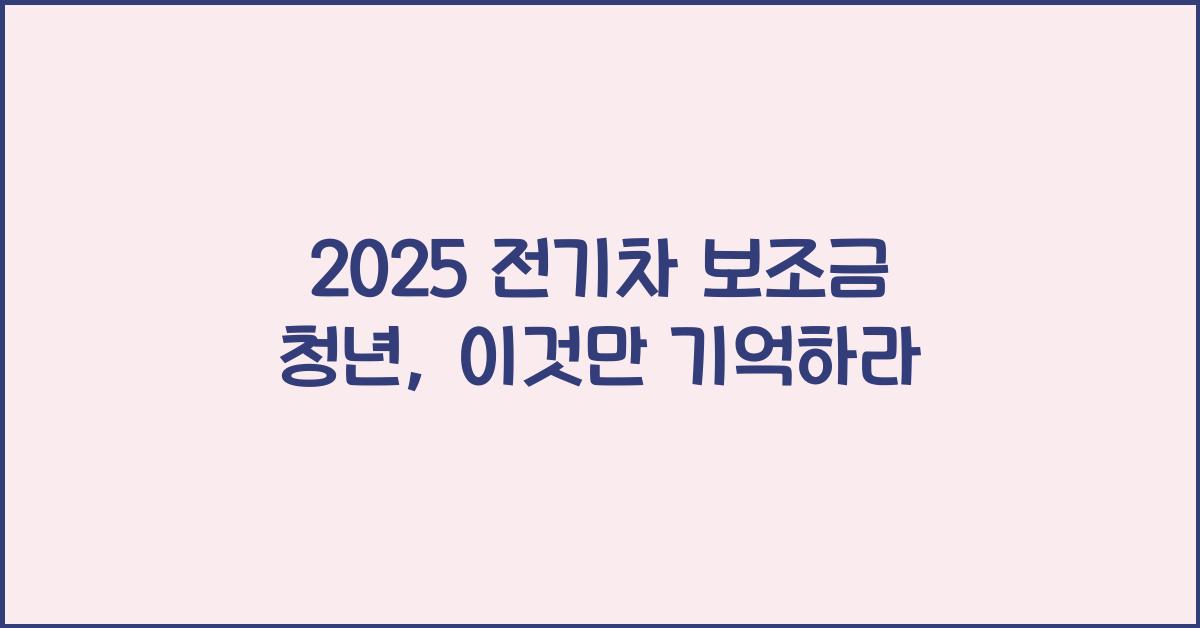 2025 전기차 보조금 청년